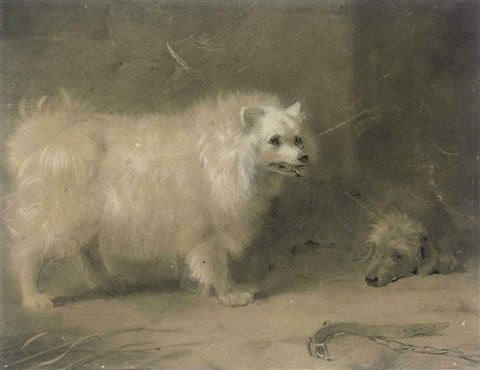 archibald thorburn a chow A4 Photo Print