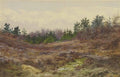 archibald thorburn a clearing in a pine plantation A4 Photo Print