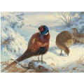 archibald thorburn a cock pheasant and hen pheasant in winter A4 Photo Print