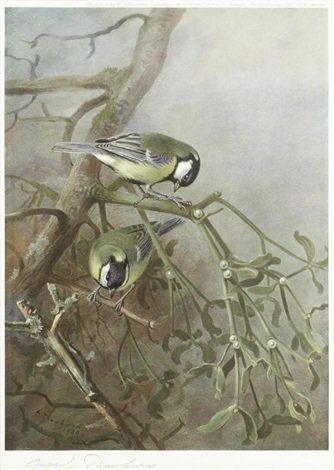archibald thorburn a collection of bird prints 8 works A4 Photo Print
