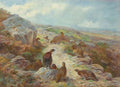archibald thorburn a covey of eleven red grouse beside a sheep track A4 Photo Print