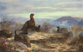 archibald thorburn a covey of five red grouse amongst heather A4 Photo Print