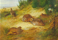 archibald thorburn a covey of partridges A4 Photo Print