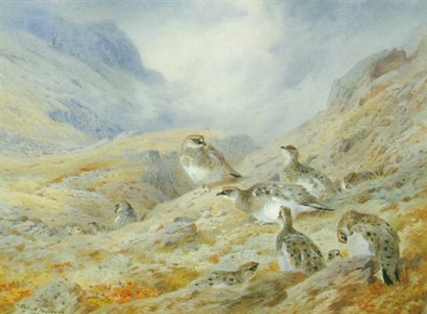 archibald thorburn a covey of ptarmigan A4 Photo Print