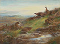 archibald thorburn a covey of red grouse by a spring A4 Photo Print