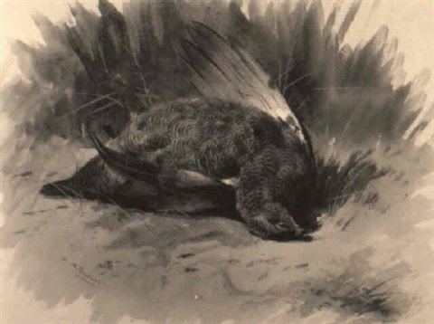 archibald thorburn a dead grouse A4 Photo Print