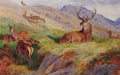 archibald thorburn a disturber of the peace A4 Photo Print