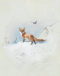 archibald thorburn a fox darting through the snow A4 Photo Print