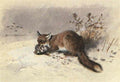 archibald thorburn a fox in the snow A4 Photo Print