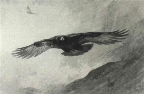 archibald thorburn a golden eagle in flight A4 Photo Print