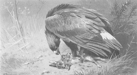 archibald thorburn a golden eagle on a rabbit A4 Photo Print