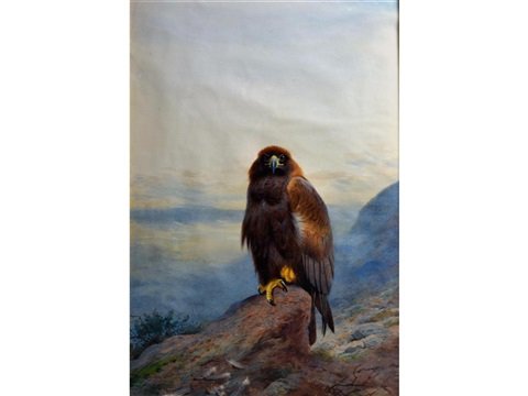 archibald thorburn a golden eagle perched on a rock in an extensive landscape A4 Photo Print