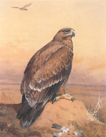 archibald thorburn a golden eagle perched on a sandy knoll A4 Photo Print
