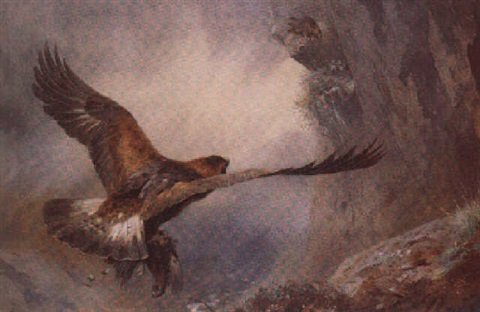 archibald thorburn a golden eagle returning to its nest A4 Photo Print