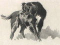 archibald thorburn a gordon setter A4 Photo Print