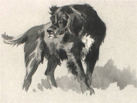 archibald thorburn a gordon setter A4 Photo Print