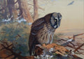 archibald thorburn a great grey owl A4 Photo Print