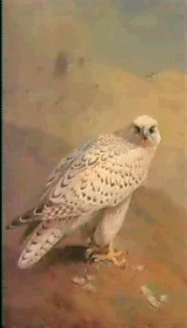 archibald thorburn a greenland or gyr falcon A4 Photo Print