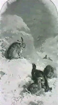 archibald thorburn a hare and blackgame in the snow A4 Photo Print