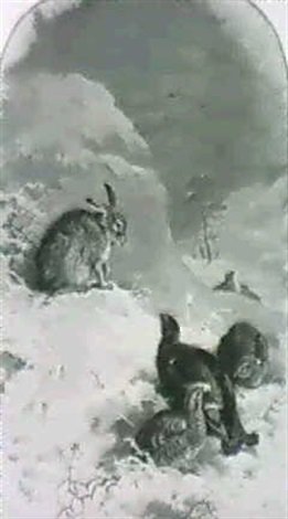 archibald thorburn a hare and blackgame in the snow A4 Photo Print