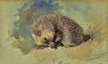 archibald thorburn a hedgehog A4 Photo Print