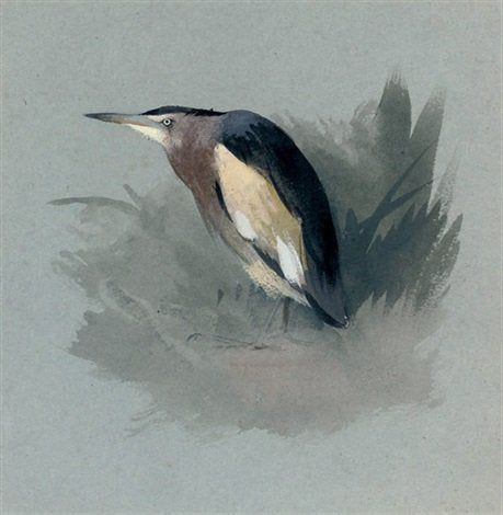 archibald thorburn a heron waiting in the marshes A4 Photo Print