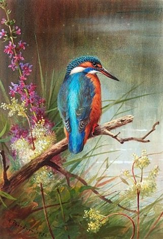 archibald thorburn a kingfisher resting A4 Photo Print