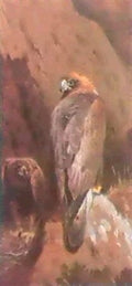 archibald thorburn a pair of golden eagles A4 Photo Print