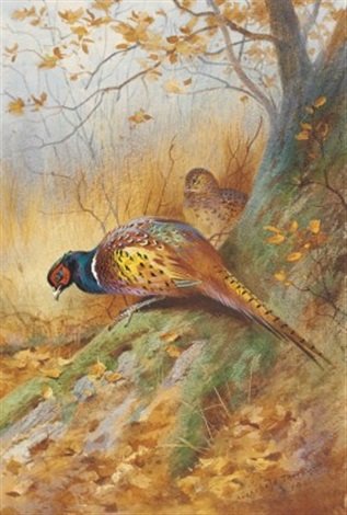 archibald thorburn a pair of pheasant on the base of a moss covered oak tree A4 Photo Print