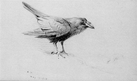 archibald thorburn a raven A4 Photo Print
