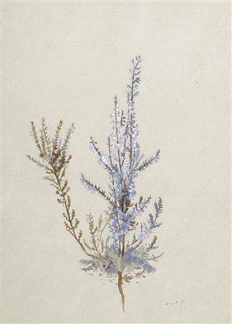 archibald thorburn a spray of heather A4 Photo Print