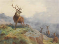 archibald thorburn a stag and hinds in a highland landscape A4 Photo Print