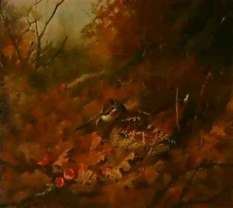 archibald thorburn a woodcock nesting in autumn leaves A4 Photo Print