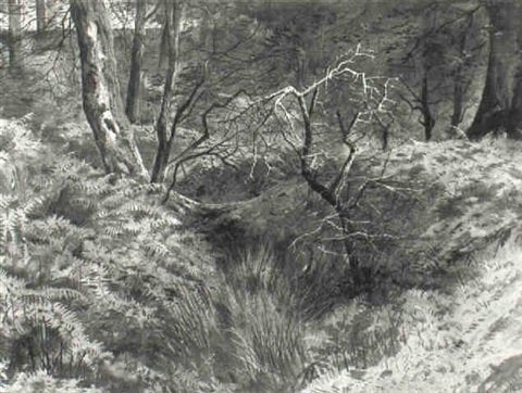 archibald thorburn a wooded glade A4 Photo Print