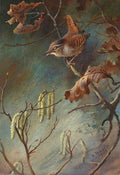 archibald thorburn a wren perched upon a branch study A4 Photo Print