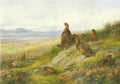 archibald thorburn amongst the heather red grouse A4 Photo Print