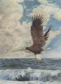 archibald thorburn an eagle over the sea A4 Photo Print