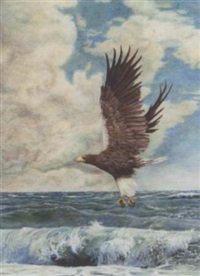 archibald thorburn an eagle over the sea A4 Photo Print