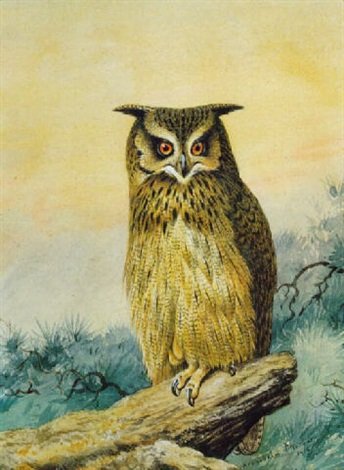 archibald thorburn an eagle owl at dusk A4 Photo Print