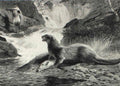 archibald thorburn an otter and a grey heron A4 Photo Print