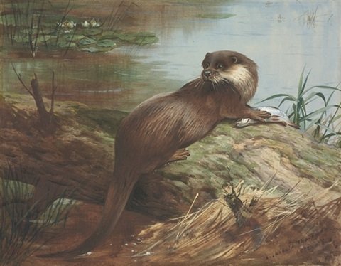 archibald thorburn an otter with a fish A4 Photo Print