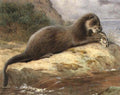 archibald thorburn an otter A4 Photo Print