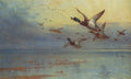 archibald thorburn as evening deepens mallard in flight A4 Photo Print