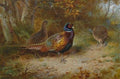 archibald thorburn autumn covert A4 Photo Print