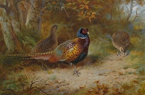archibald thorburn autumn covert A4 Photo Print
