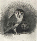 archibald thorburn barn owls A4 Photo Print