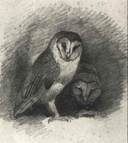 archibald thorburn barn owls A4 Photo Print