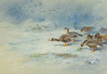 archibald thorburn barnacle geese A4 Photo Print