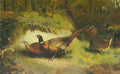 archibald thorburn beating the coverts pheasants A4 Photo Print