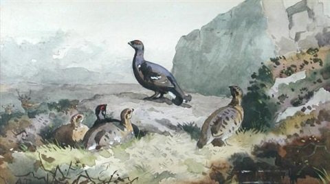 archibald thorburn black game in the peat hag A4 Photo Print